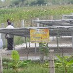 10 HP Solar Pump System